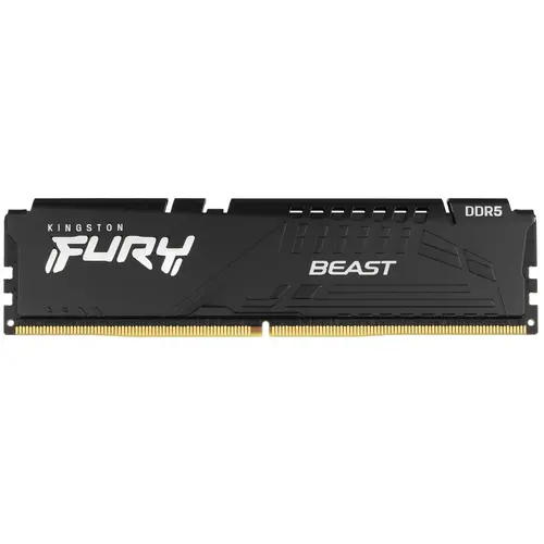 Память оперативная Kingston FURY Beast Black EXPO